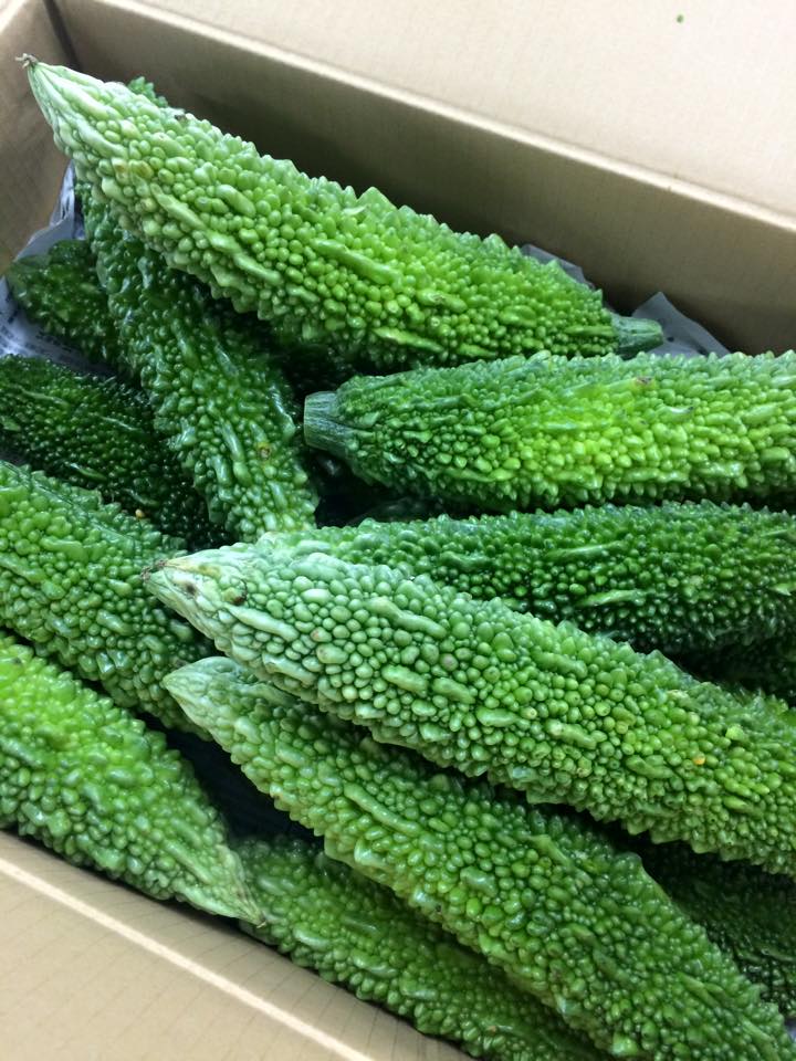 11244389_933568873330031_3436690284993806016_n