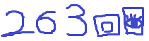 263