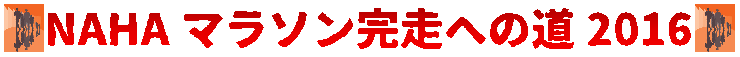 NAHAマラソン完走への道2016