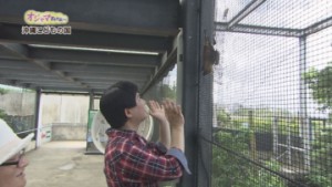 ①こうもりバイバイ