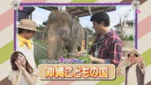 ①らいんなぷ