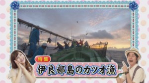 ①ラインナップカツオ漁