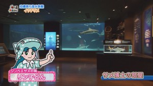 ちゅら海2