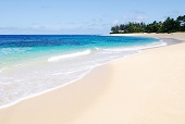 Tropical beach scene on a sunny day in Oahu, Hawaii