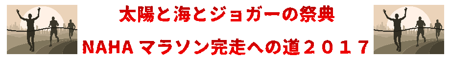 太陽と海とジョガーの祭典NAHAマラソン完走への道２０１７