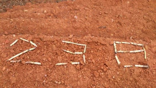 少年大好き週刊中年ジャンプ