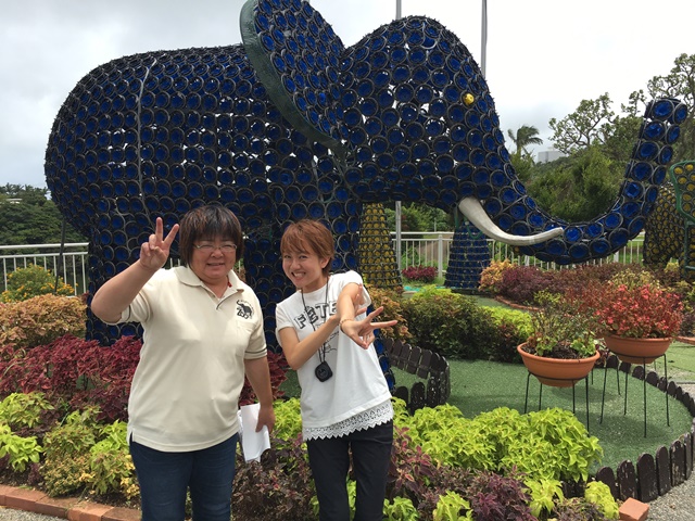 ｋｌｒはｇimage1