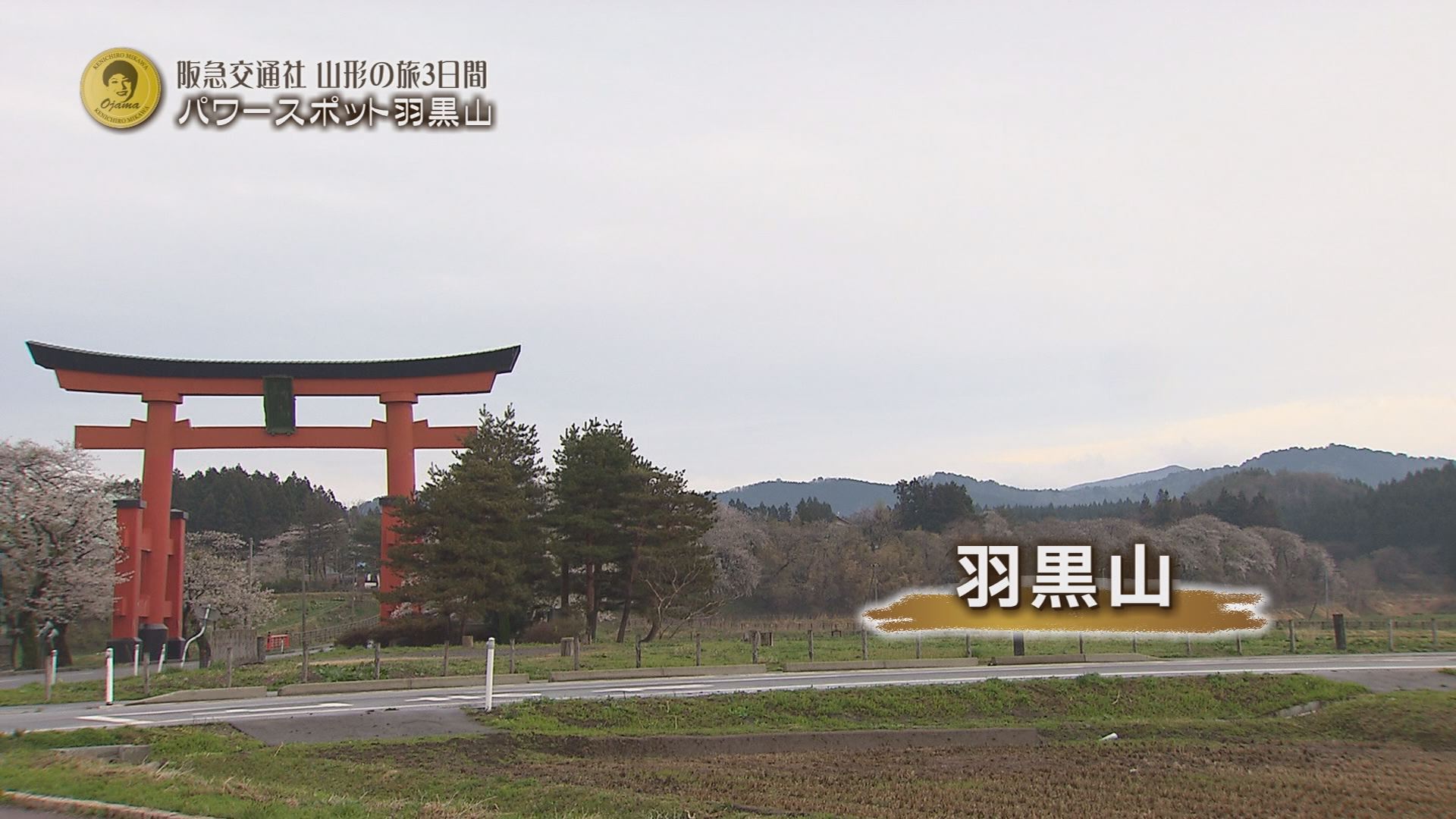 5月9日の沖縄bon 魅川憲一郎のオジャマするわよ 阪急交通社 Rbc 琉球放送 5月9日の沖縄bon 魅川憲一郎のオジャマするわよ 阪急交通社 Rbc 琉球放送