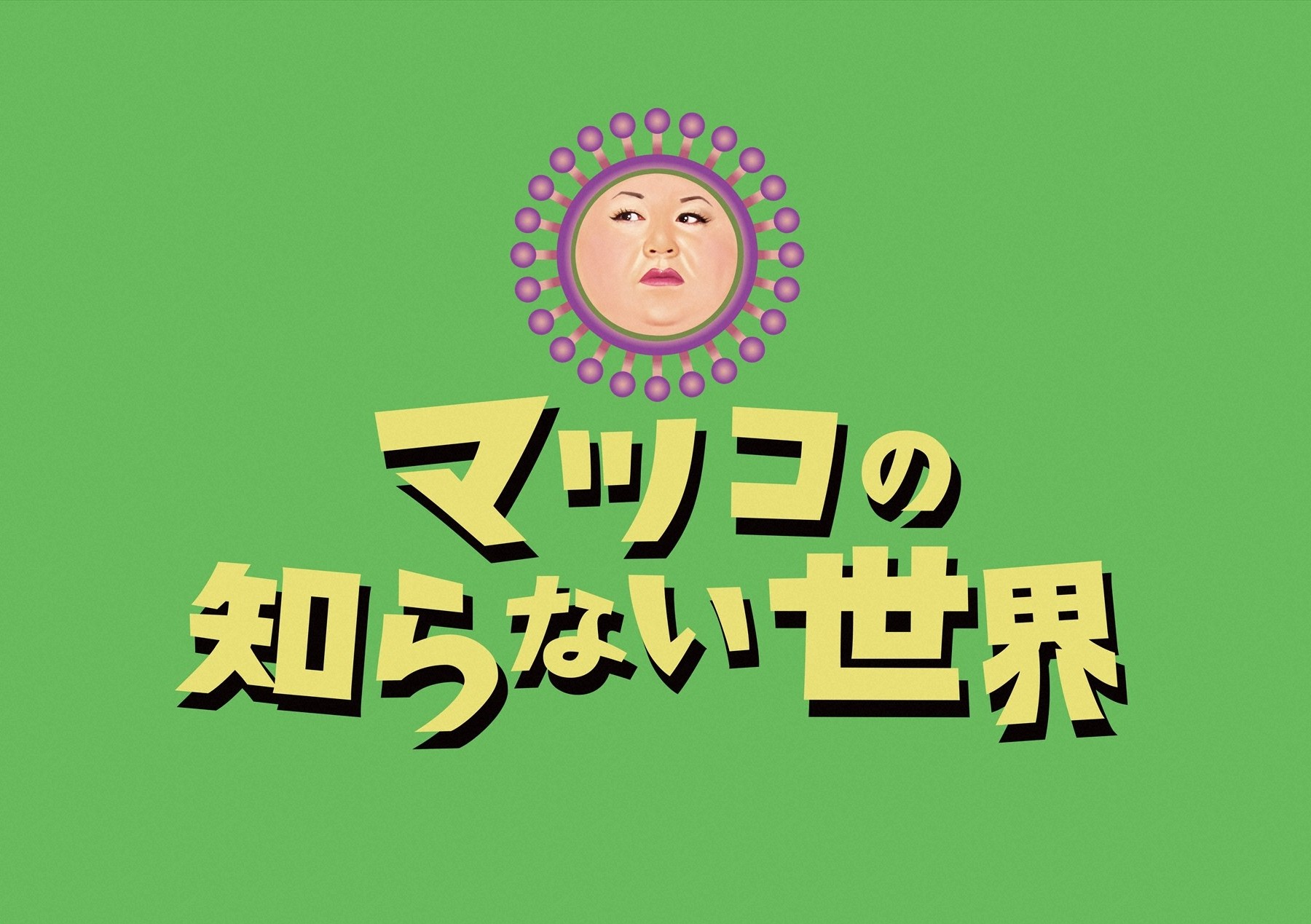 活動歴および当時の関連ビジュアル記録