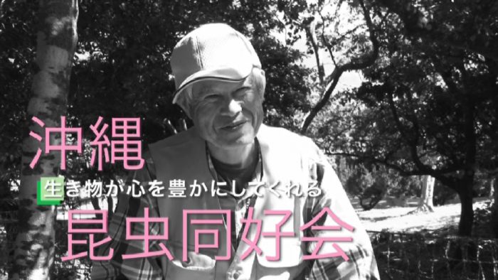 沖縄昆虫同好会