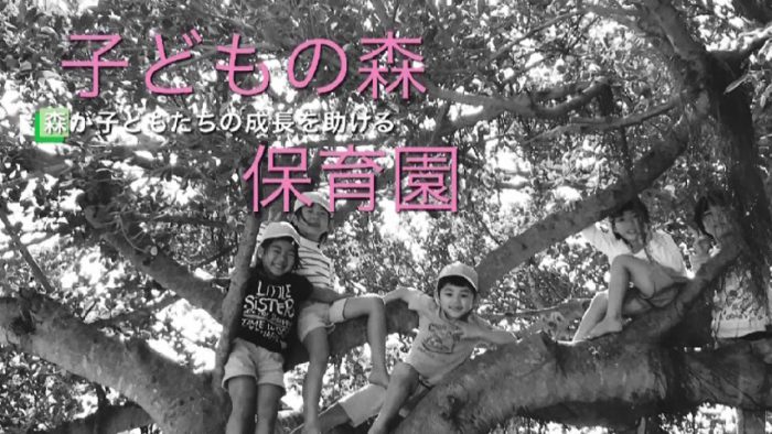 子どもの森保育園