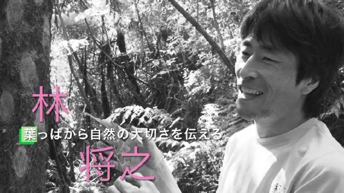 11 25 月 11 29 金 葉っぱから自然の大切さを伝える 林将之さん Rbc 琉球放送 11 25 月 11 29 金 葉っぱから自然の大切さを伝える 林将之さん Rbc 琉球放送