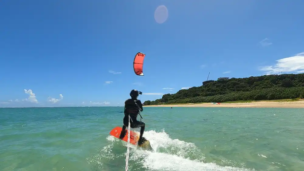 南の島のミスワリン