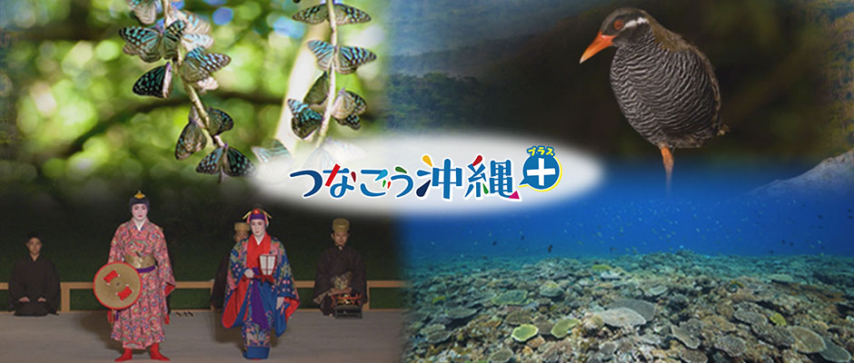 つなごう沖縄プラス