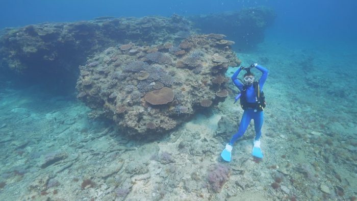 南の島のミスワリン　4月24日放送