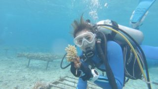 南の島のミスワリン　5月29日放送