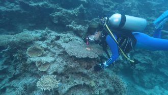 南の島のミスワリン　6月26日放送