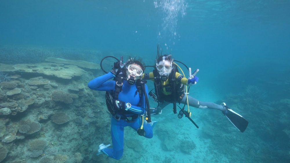 南の島のミスワリン11月28日放送内容