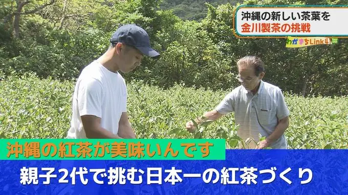 緑茶から紅茶へと方向転換！南国沖縄で栽培される全国3連覇の紅茶とはー