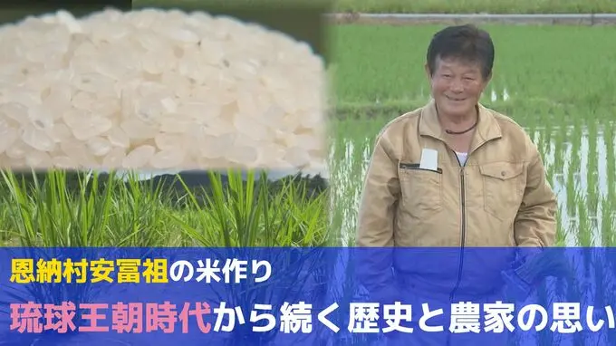 ビーチリゾートだけじゃない！沖縄・恩納村が誇る“あふそ米”の歴史と作り手の思いー