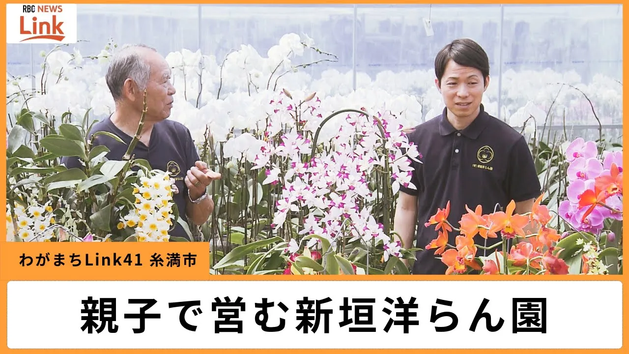 ランに一目ぼれ！サトウキビ農家を継がずラン栽培の道へ 糸満市の新垣洋らん園 自然の造形美追及する新垣親子