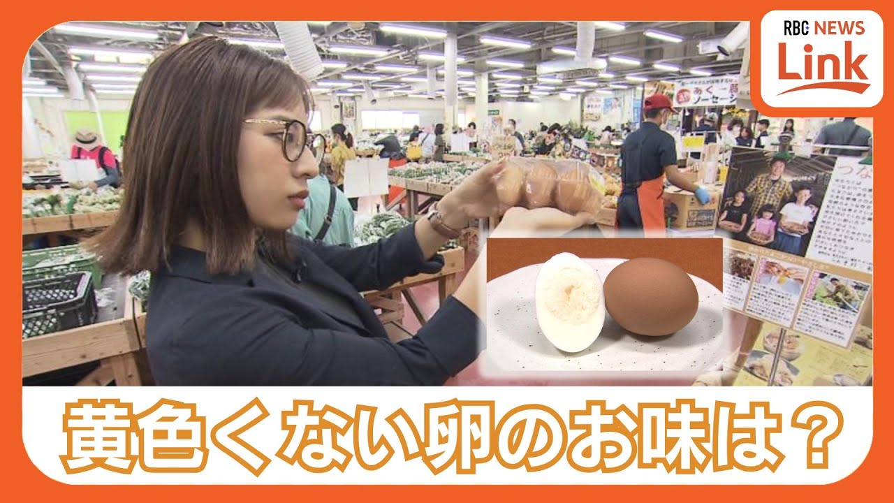 沖縄で唯一！　卵黄がまったく黄色くないたまご　一体全体、黄身の名は？生産の裏側に潜入取材