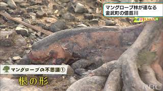 わがまちLink41・生き物の楽園　金武町