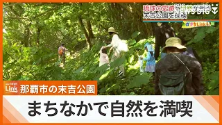 「これジュラシックパークだね」那覇市のまちなかで自然に親しむ　末吉公園を探検！