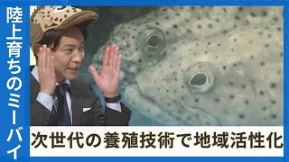 「獲るから育てる」へ　産官学が連携した高級魚の陸上養殖　“ギョギョギョ”な養殖施設に潜入