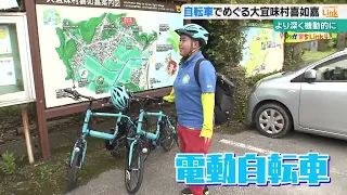 見どころ満載の大宜味村・喜如嘉　サイクリングで巡る名所の魅力は