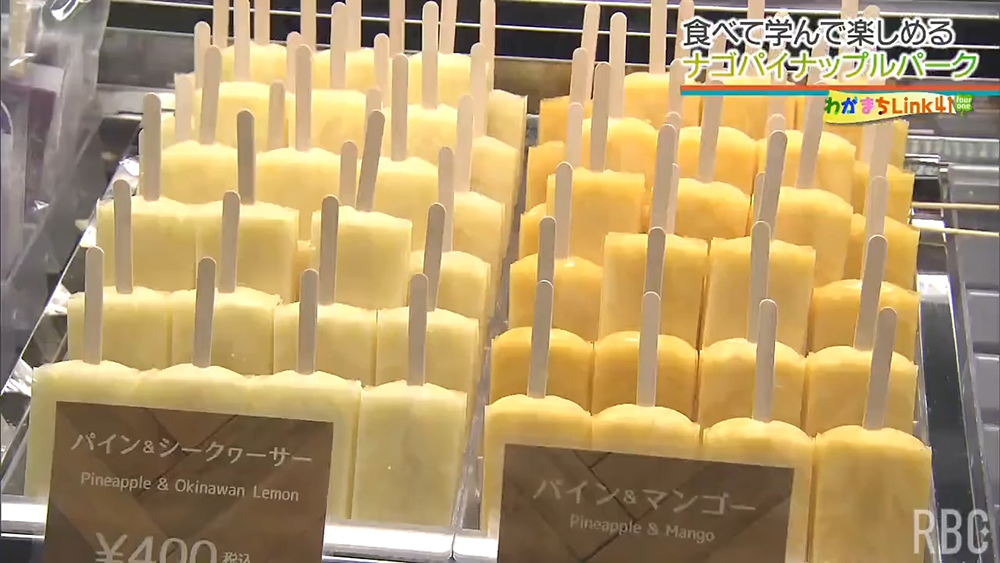 120種類のパイナップルがお出迎え！　遊んで食べて学べる「ナゴパイナップルパーク」の魅力