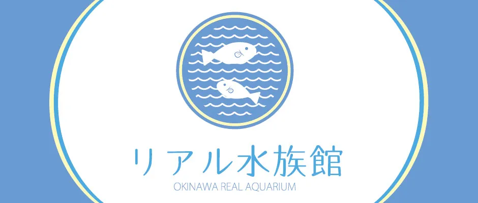 リアル水族館　ブセナの海中をライブ配信