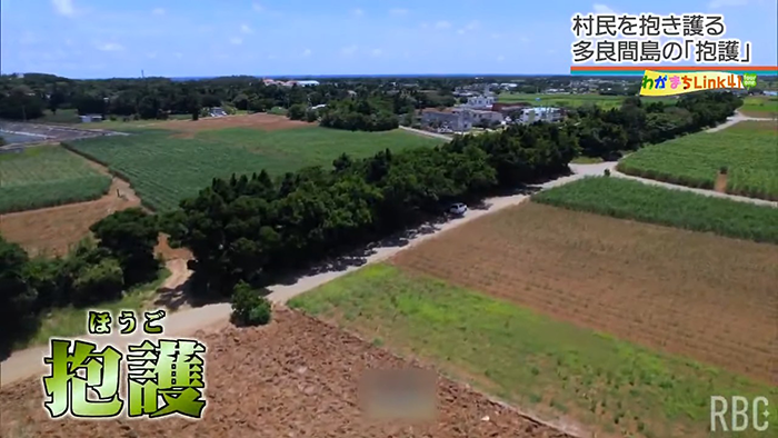 多良間村の「抱護」