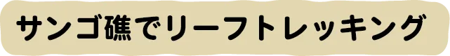 サンゴ礁でリーフトレッキング