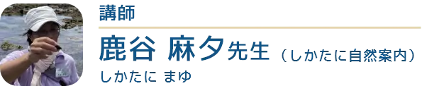 講師はしかたに自然案内の鹿谷麻夕（しかたにまゆ）先生です。