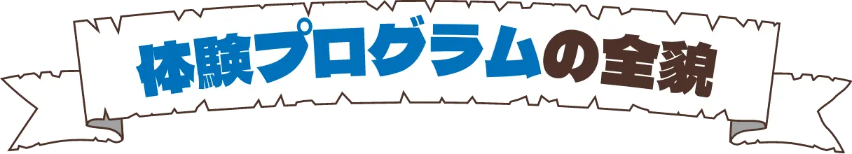体験プログラムの全貌