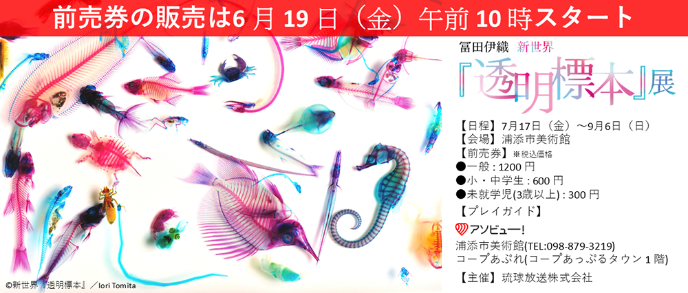 冨田伊織 新世界『透明標本』展