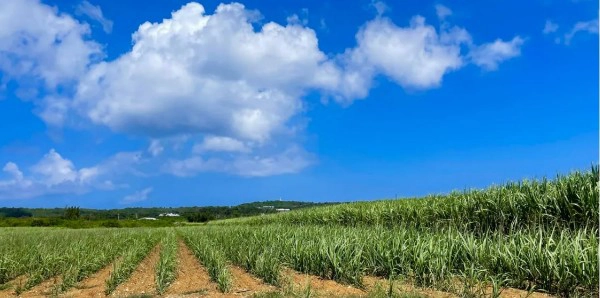 南大東島