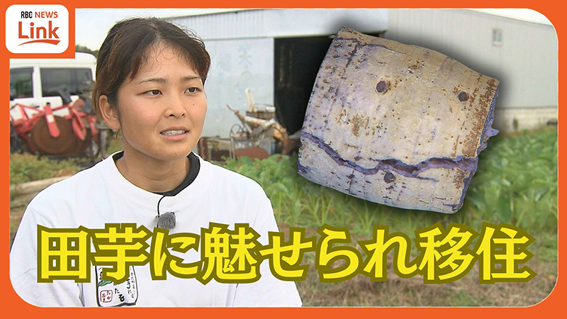 「田芋が好き、ただ好き」　田芋に魅せられ県外から移住した女性　夫と二人三脚で田芋産業の未来を創る