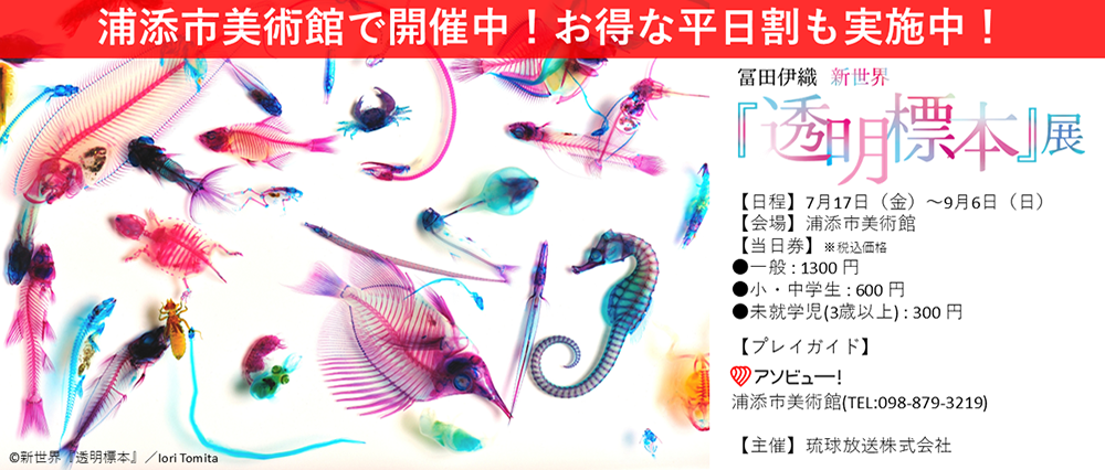 冨田伊織 新世界『透明標本』展
